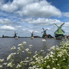 Zaanse Schans – atvērts vēsturisko vējdzirnavu muzejs. Tā ir gleznaina vēsturiska zona ar vairākiem restaurētiem dzirnavu komplektiem, tradicionālām mājām un muzejiem, kas demonstrē Nīderlandes industriālo mantojumu.