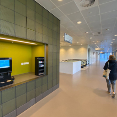 Amsterdamas universitātes gaitenī 