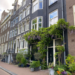 Amsterdamas ieliņa ar ēkām un košumaugiem