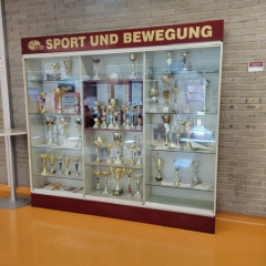 Gymnasium HLW sporta sasniegumu siena.