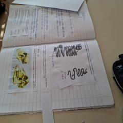 Vērošanas mobilitātē Slovēnijā: skolas vide.