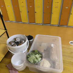 Uzkodu kaste klasei.