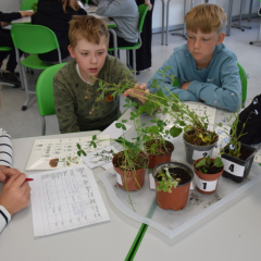 STEM dienas aktivitātes