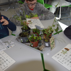 STEM dienas aktivitātes