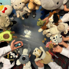 585642613_1401573115305801_2763002310048696026_n