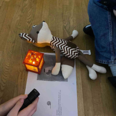 587112774_1401573205305792_2628162064105166712_n